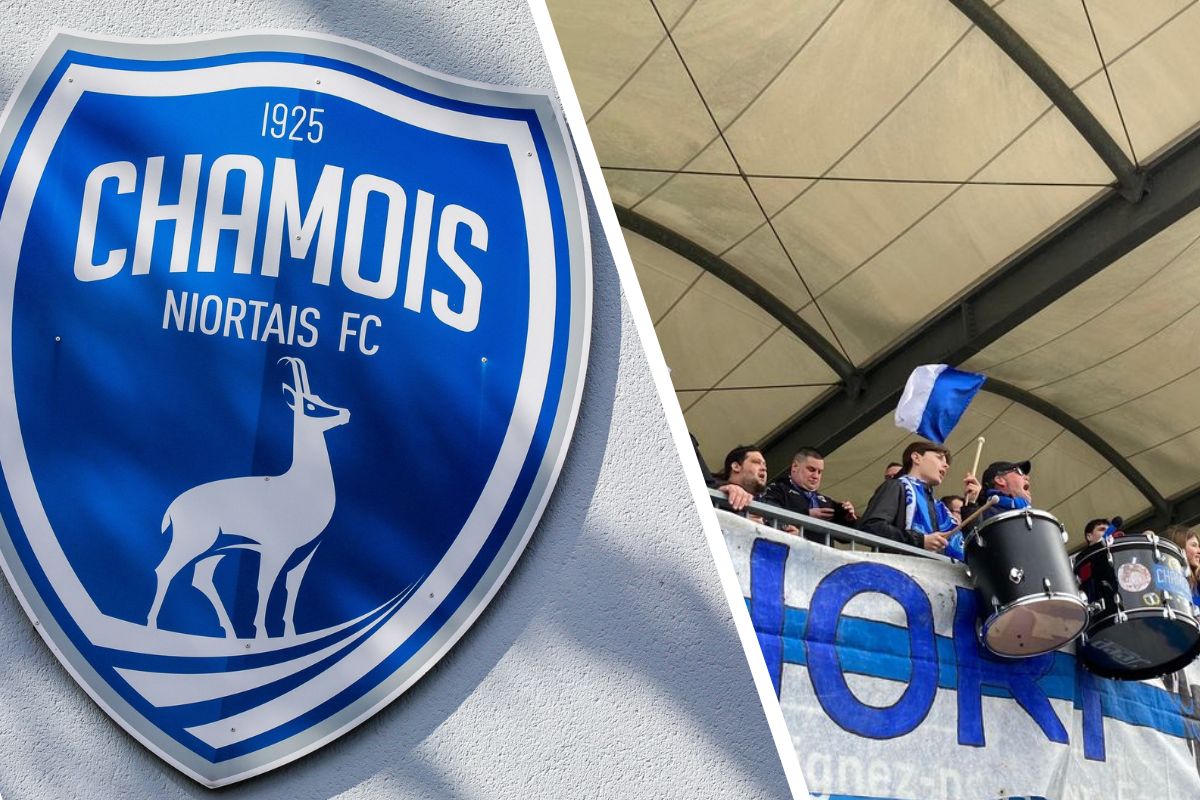 chamois niortais