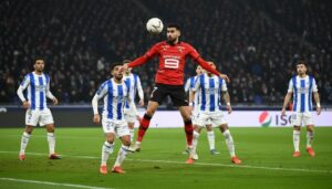 lille terrier echoue